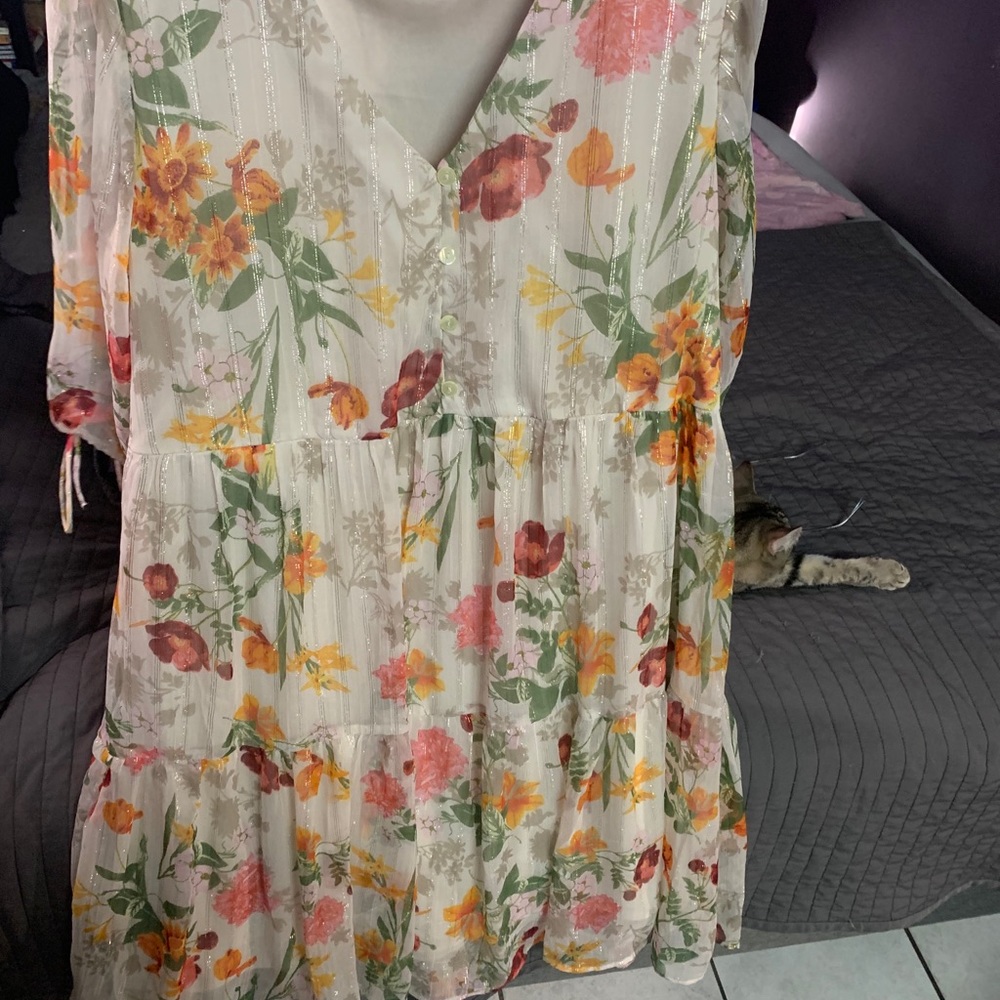 Plus size dress (2X)